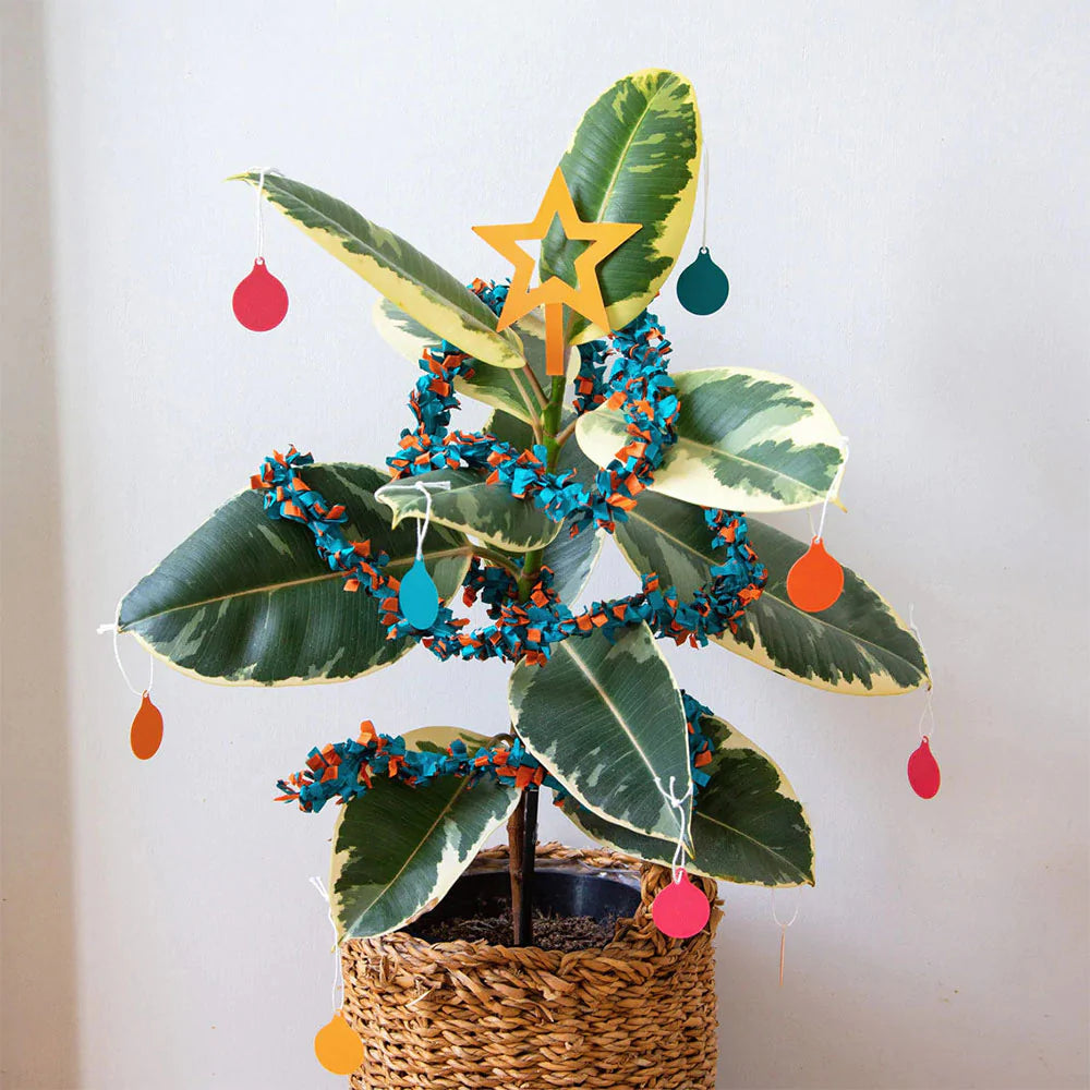 a plant decorated with christmas decorations